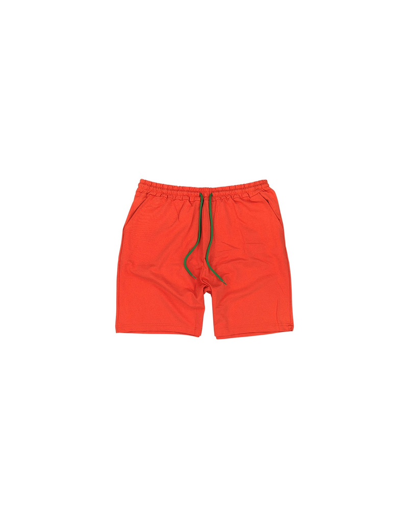 bermuda taglie forti